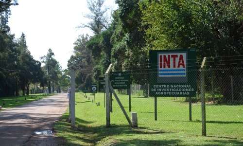 ¿Qué pasa con las tierras y el patrimonio del Inta?