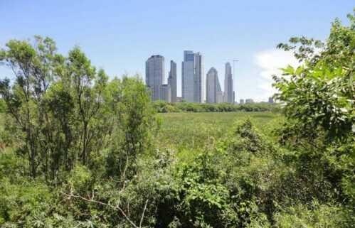 larreta legislatura remate costanera sur caba puerto madero larreta legislatura remate costanera sur caba puerto madero